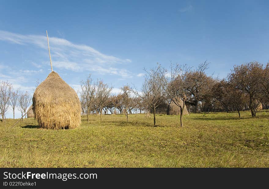 Agricultural hay on countryside in Romania