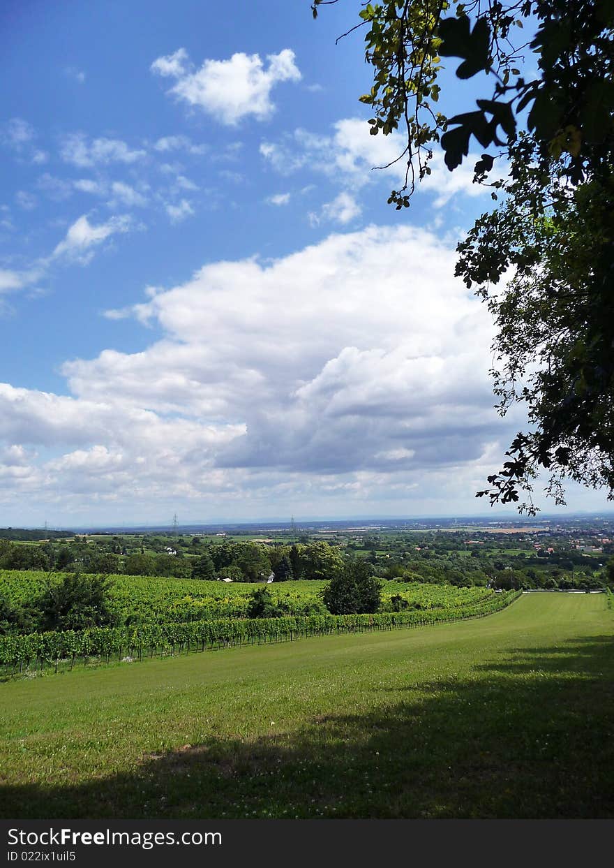 A view from Bisamberg to the open Range near at Vienna