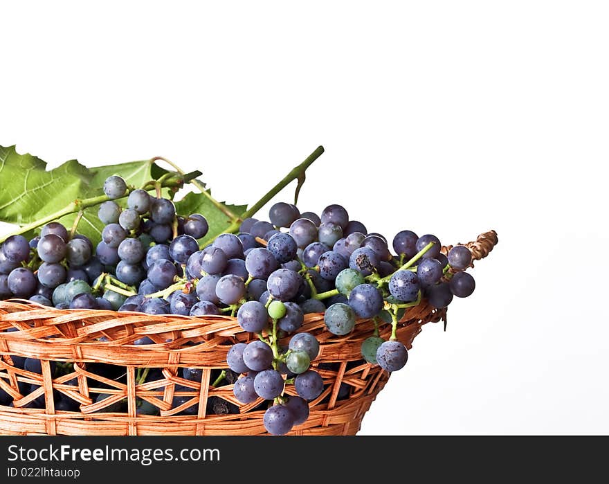 Ripe harvested Grapes in a basket