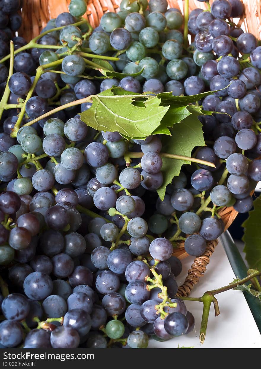 Ripe harvested Grapes in a basket