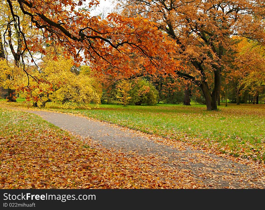 Trees with yellow and red leaves in park, a path and the green grass, filled up by yellow leaves. Trees with yellow and red leaves in park, a path and the green grass, filled up by yellow leaves