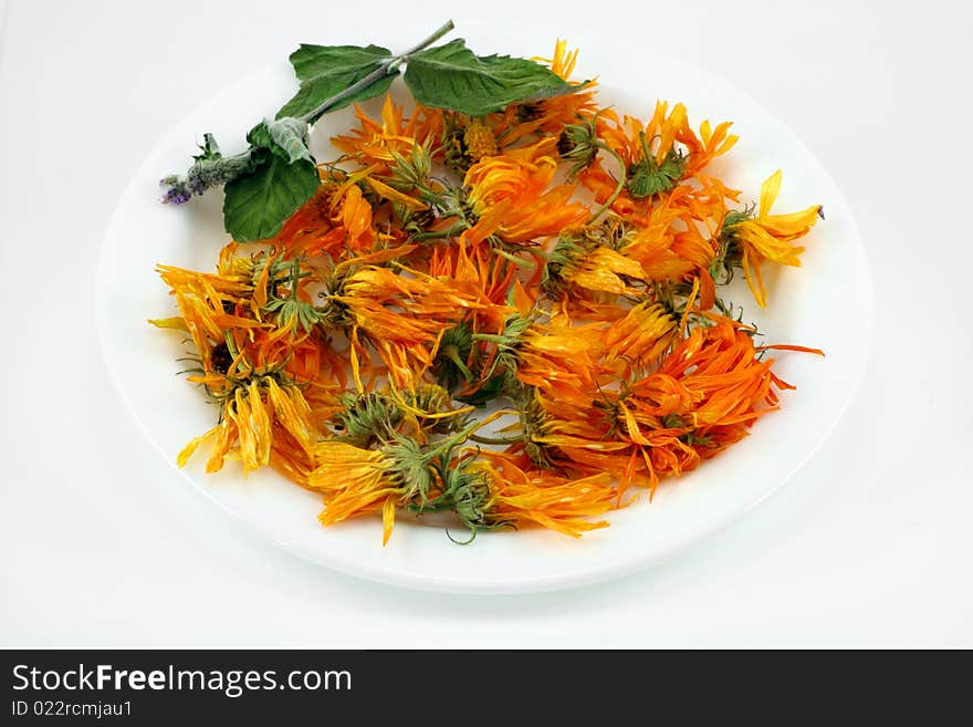 The dried up flowers of a medicinal calendula. Of colours do medical products. . The dried up flowers of a medicinal calendula. Of colours do medical products.