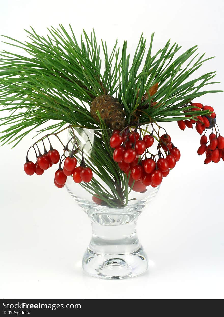 Composition from a transparent glass, a green pine branch with the cone, and bright red wild-growing wood berries. Composition from a transparent glass, a green pine branch with the cone, and bright red wild-growing wood berries.