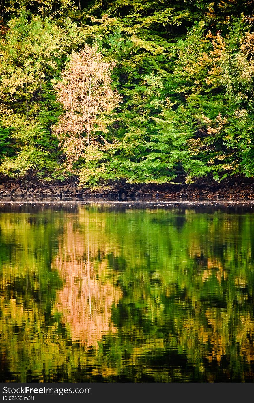 Golden Autumn Scene in October. Golden Autumn Scene in October.