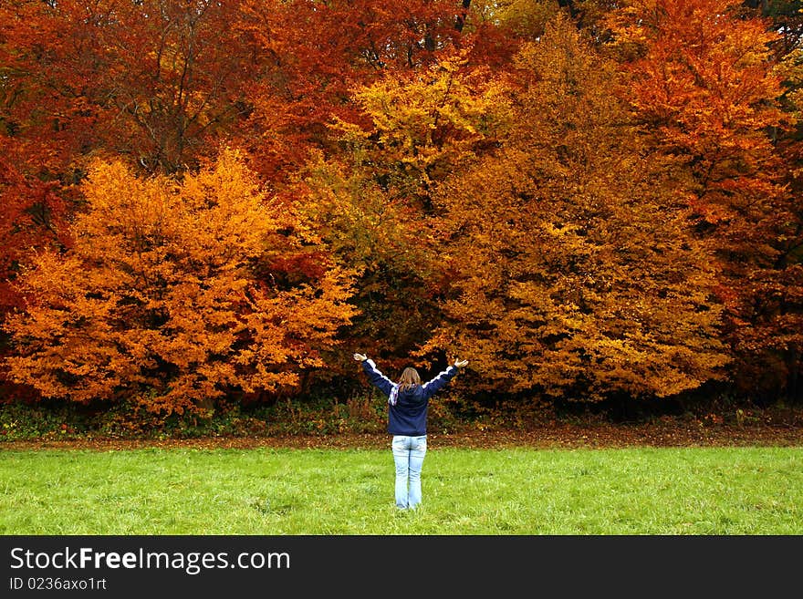 Girl standing in front of a wall of autumn color in a German forest. Girl standing in front of a wall of autumn color in a German forest.