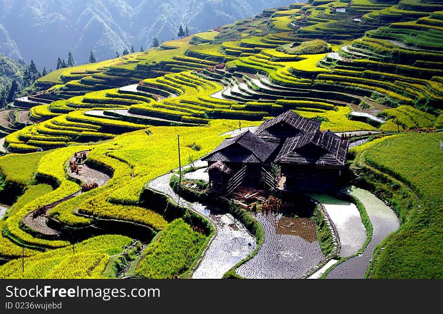 Take from Guizhou province in China. Take from Guizhou province in China.