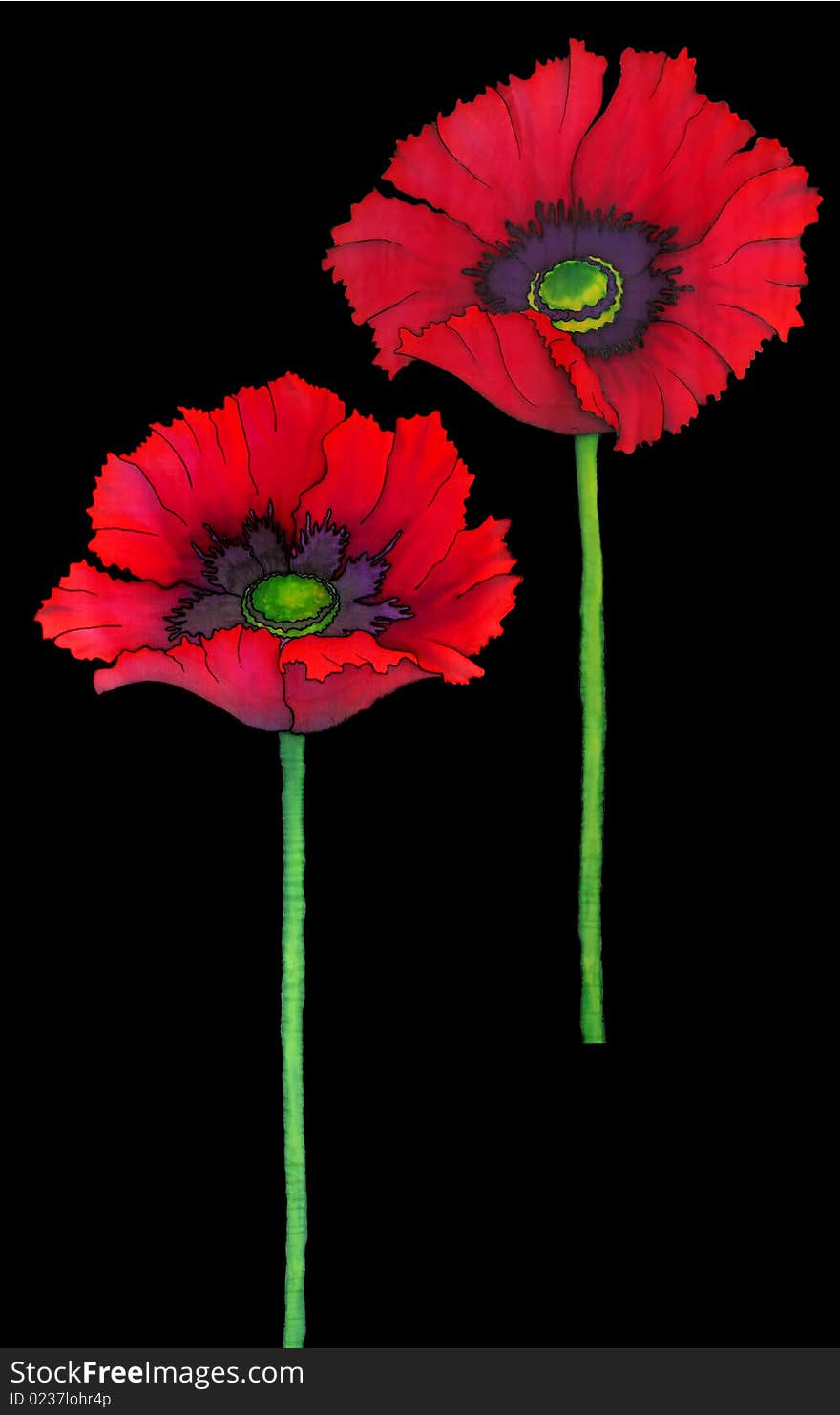 Red painting poppy on black background. Red painting poppy on black background