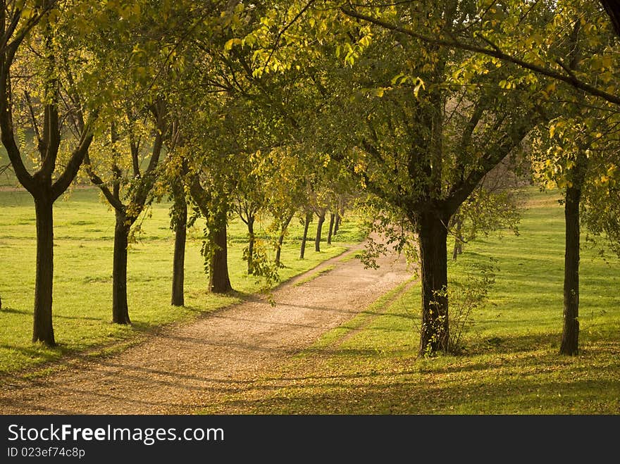 Footpath in the park during autumn season in Villa Pamphili, Rome. Footpath in the park during autumn season in Villa Pamphili, Rome