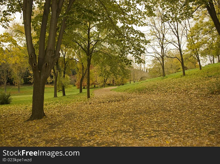 Footpath in the park during autumn season. Footpath in the park during autumn season