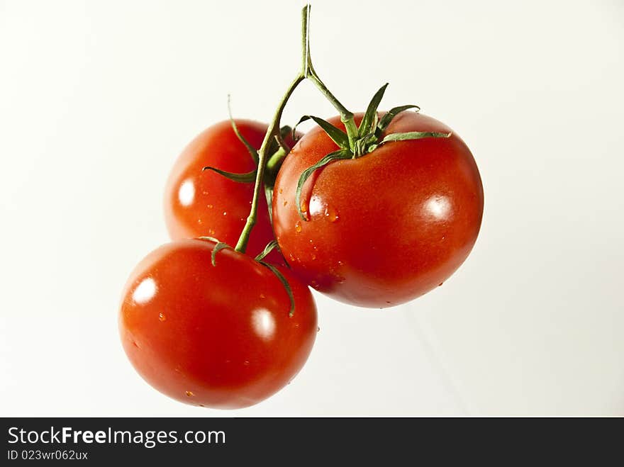 Tomatoes