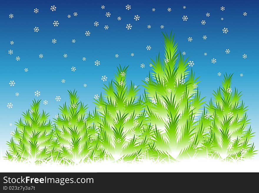 Vector illustration of Christmas Trees