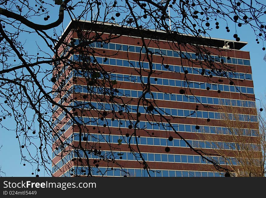 Dutch central bank