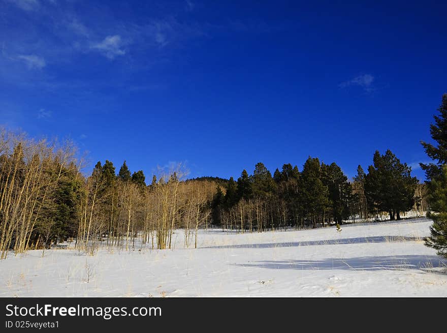 Winter in New Mexico