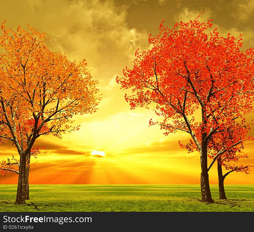 Autumn scenery with trees in the sunset