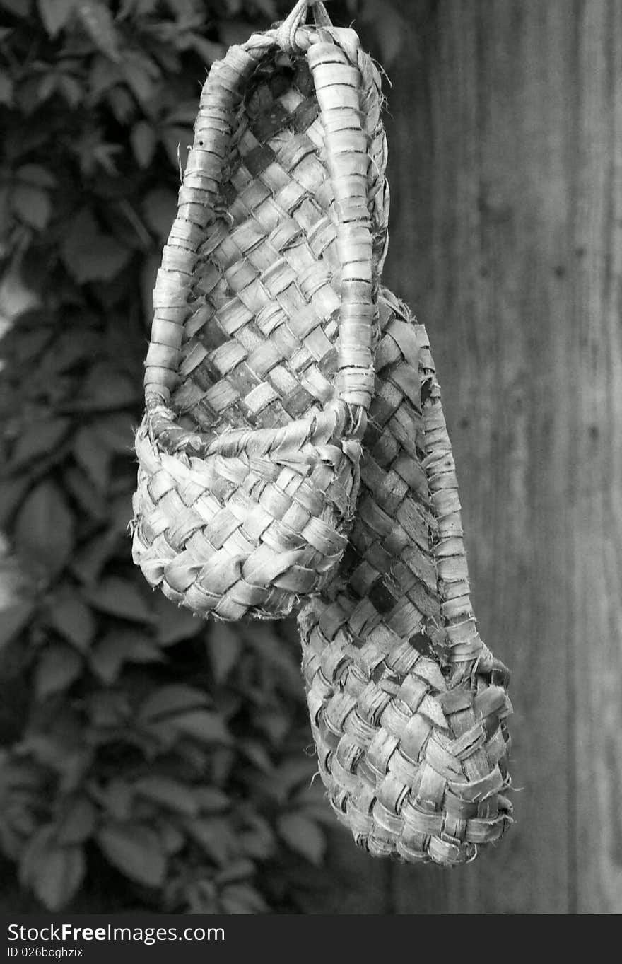 Bust shoes BW