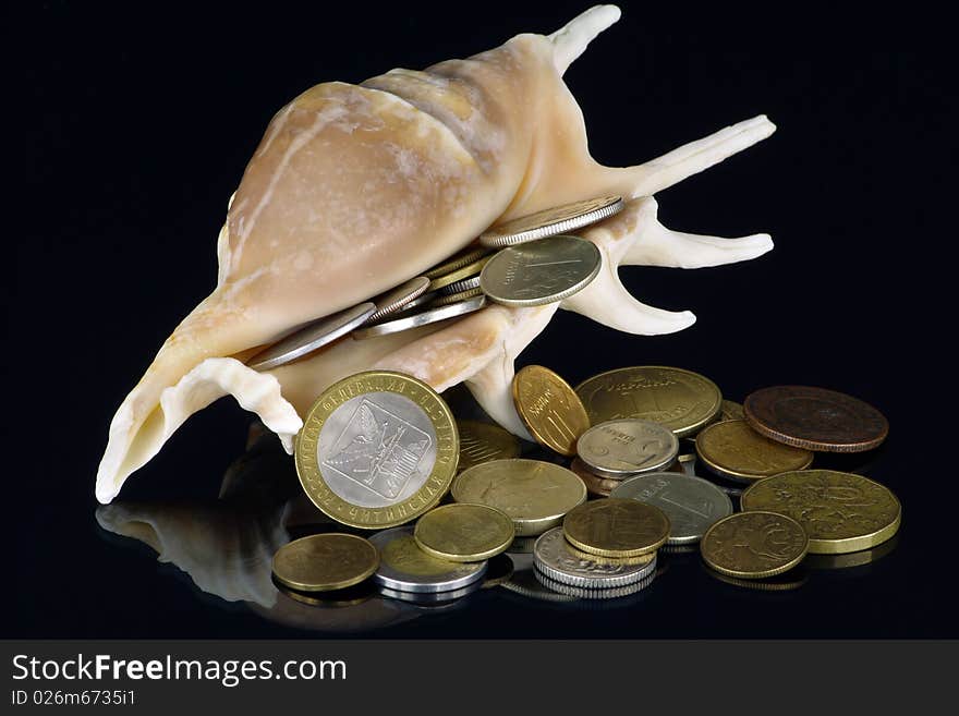 Coins of various face values and the countries get enough sleep from a sea bowl. It is executed on a black background. Coins of various face values and the countries get enough sleep from a sea bowl. It is executed on a black background.