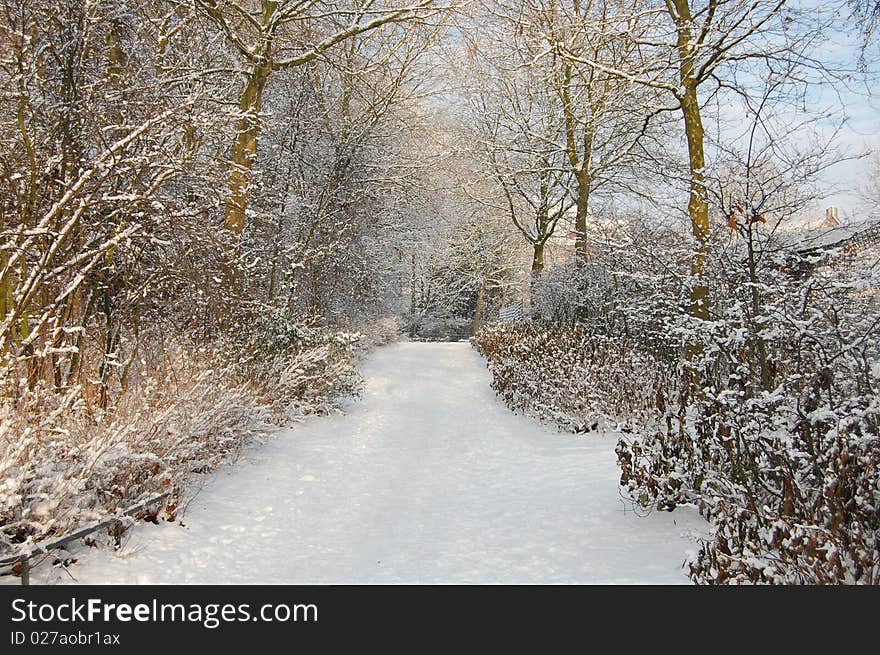 A road with snow in a park in Amsterdam. A road with snow in a park in Amsterdam