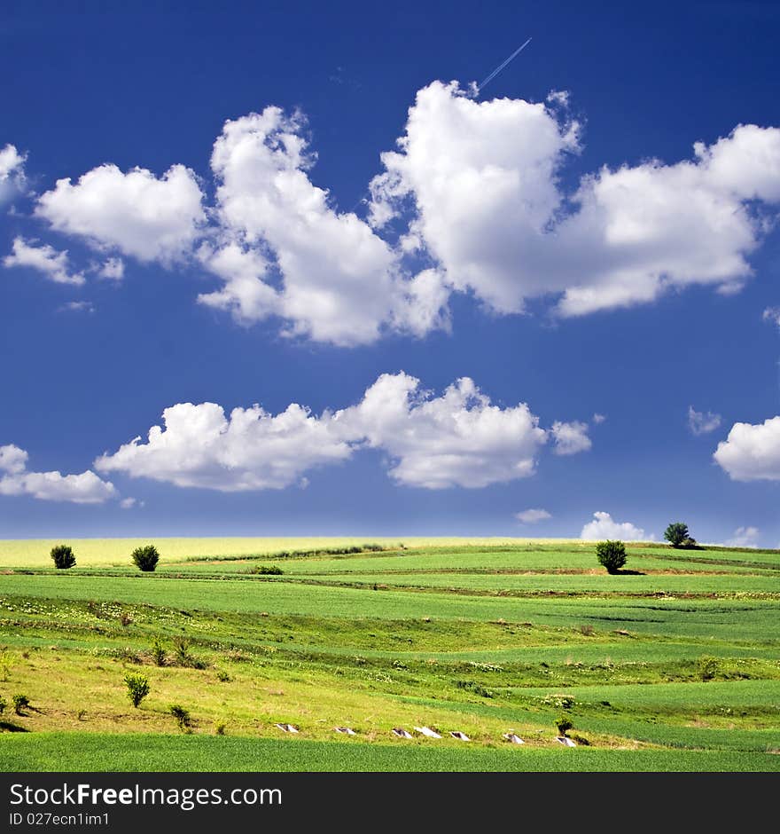 Blue sky and green field