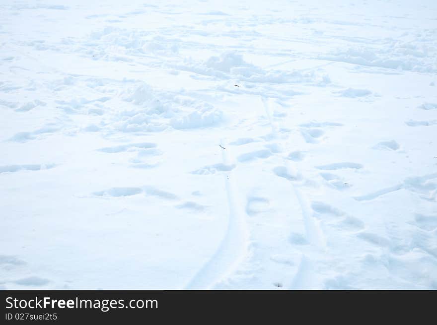 Footprints in the snow