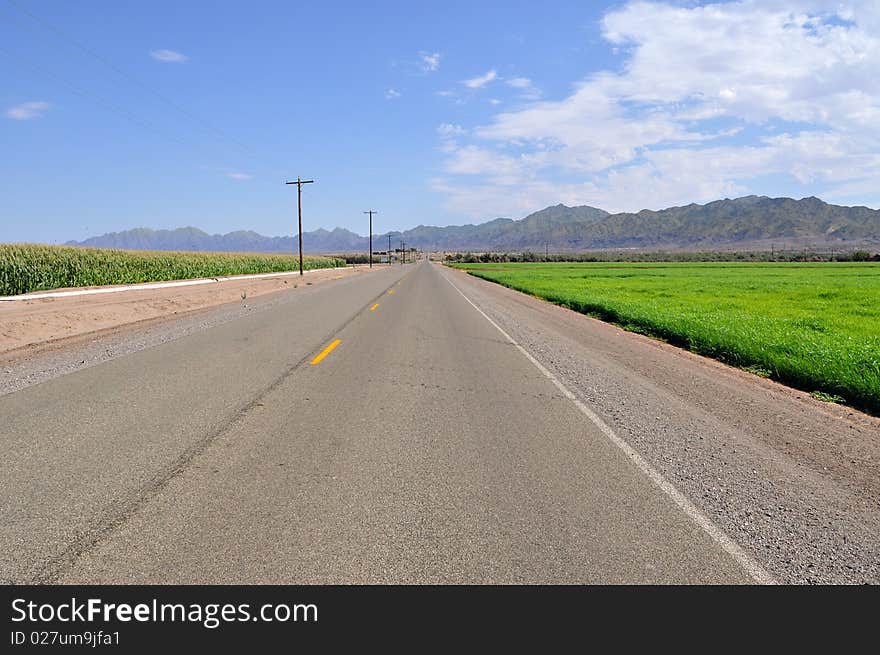 This is a photo of a road in rural California near the Arizona Border. In the middle of the very dry desert farming occurs in some sections because of effective water management and irrigation. Desert mountains with very sparse vegetation are in the background.