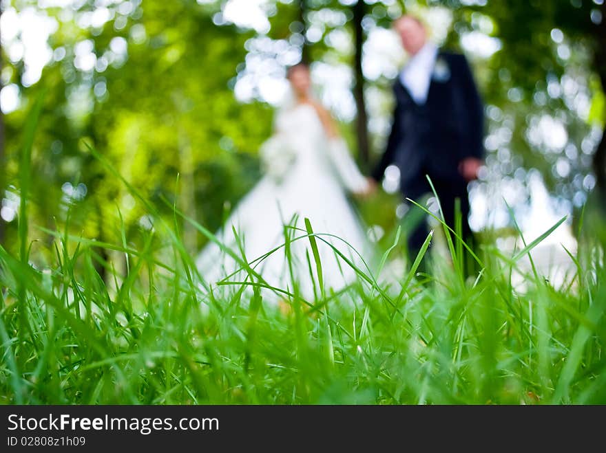 Blurry silhouettes of newlyweds looking through the grass