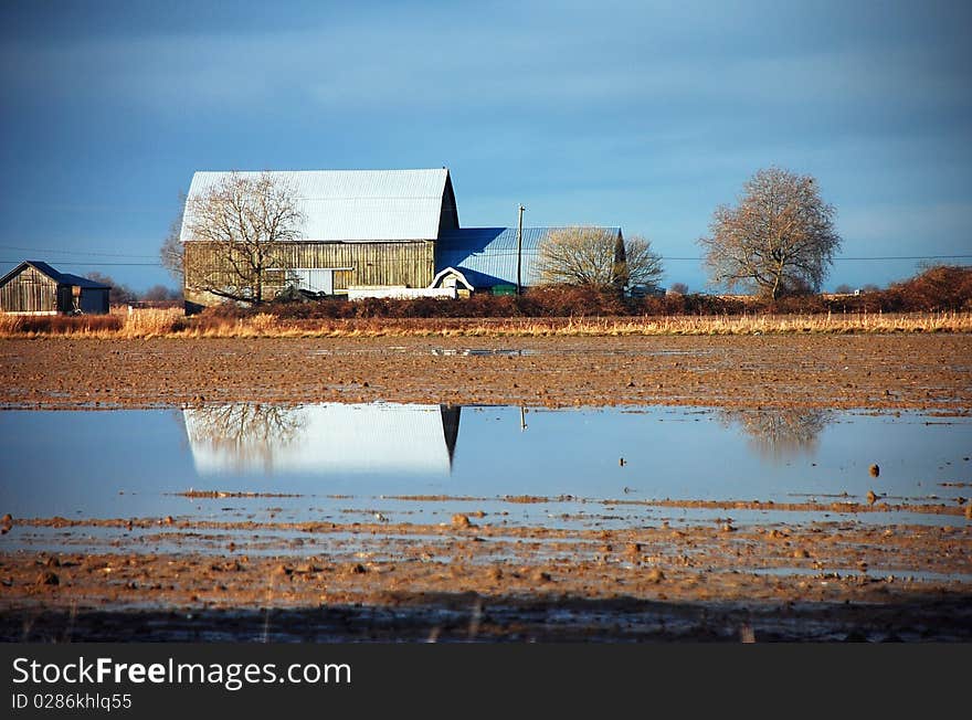 Barn reflected on flooded farm