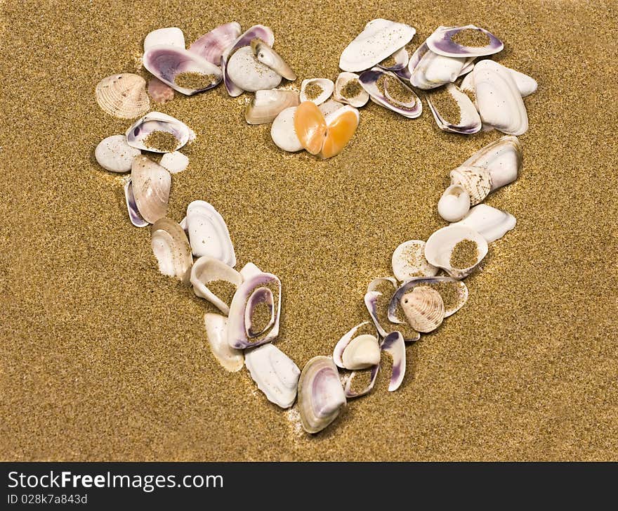 Heart made of colorful shells. Heart made of colorful shells