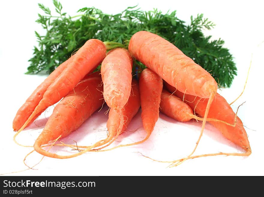 A bunch of carrots on a white background