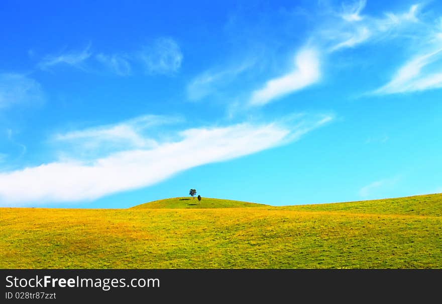 Green field and blue sky