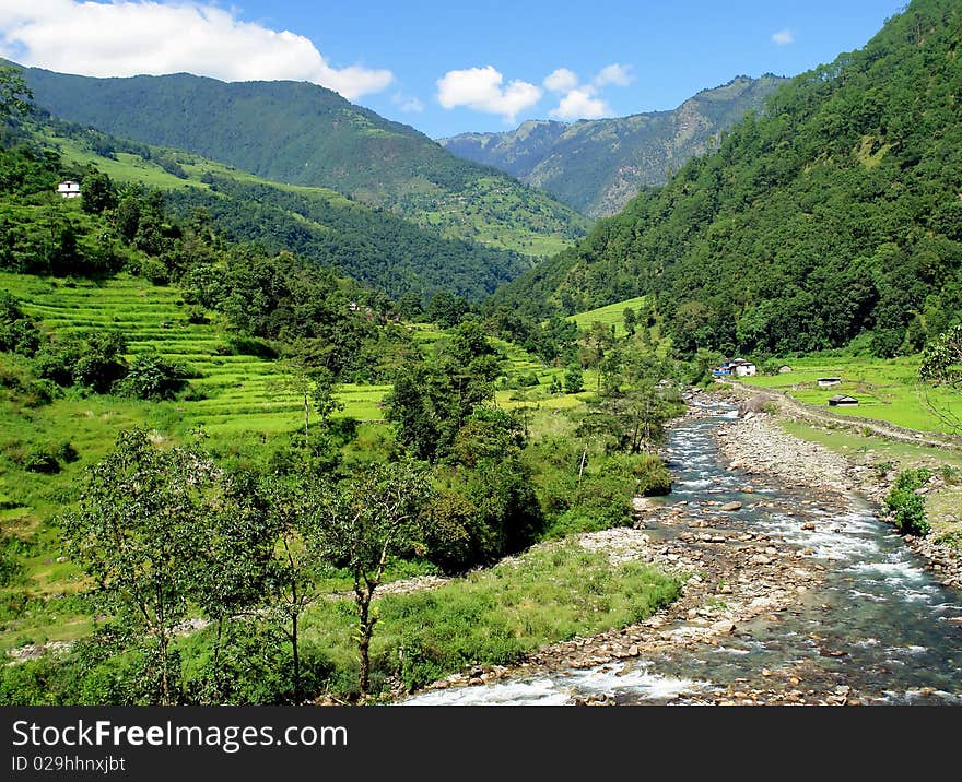 Rice fields and freshwater. Himalayan landscape