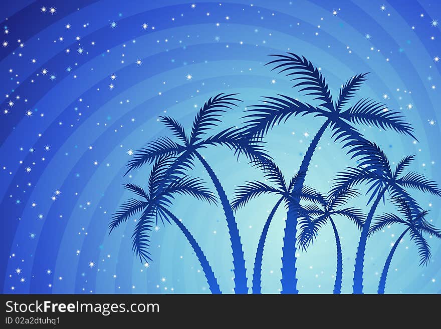 Palm Trees