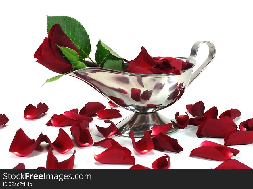 A Rose in a gravy boat. A Rose in a gravy boat