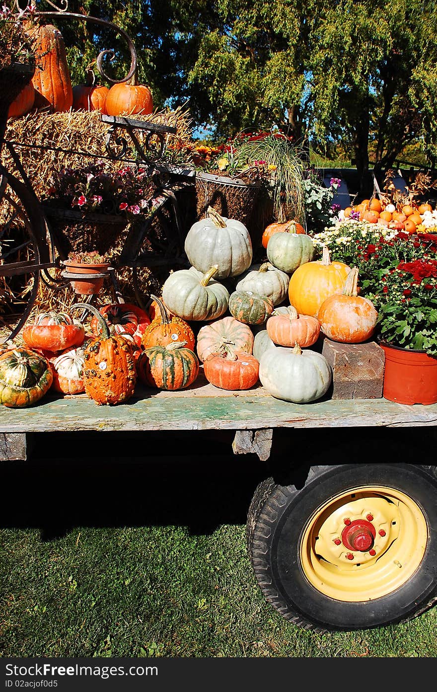 Pumpkins on display on flatbed truck