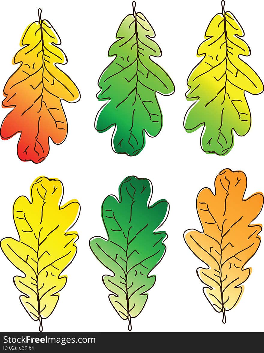 Colored leaves