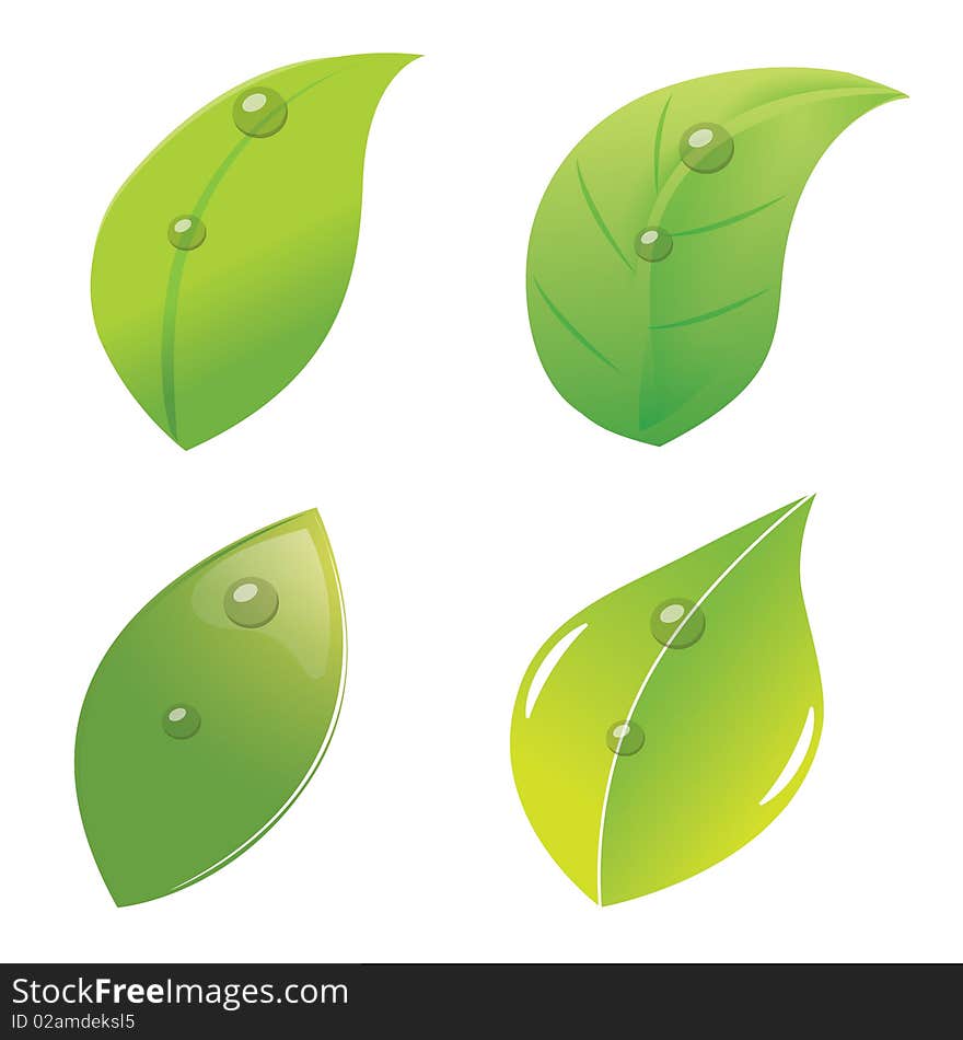 Four leaves style in vector. Four leaves style in vector