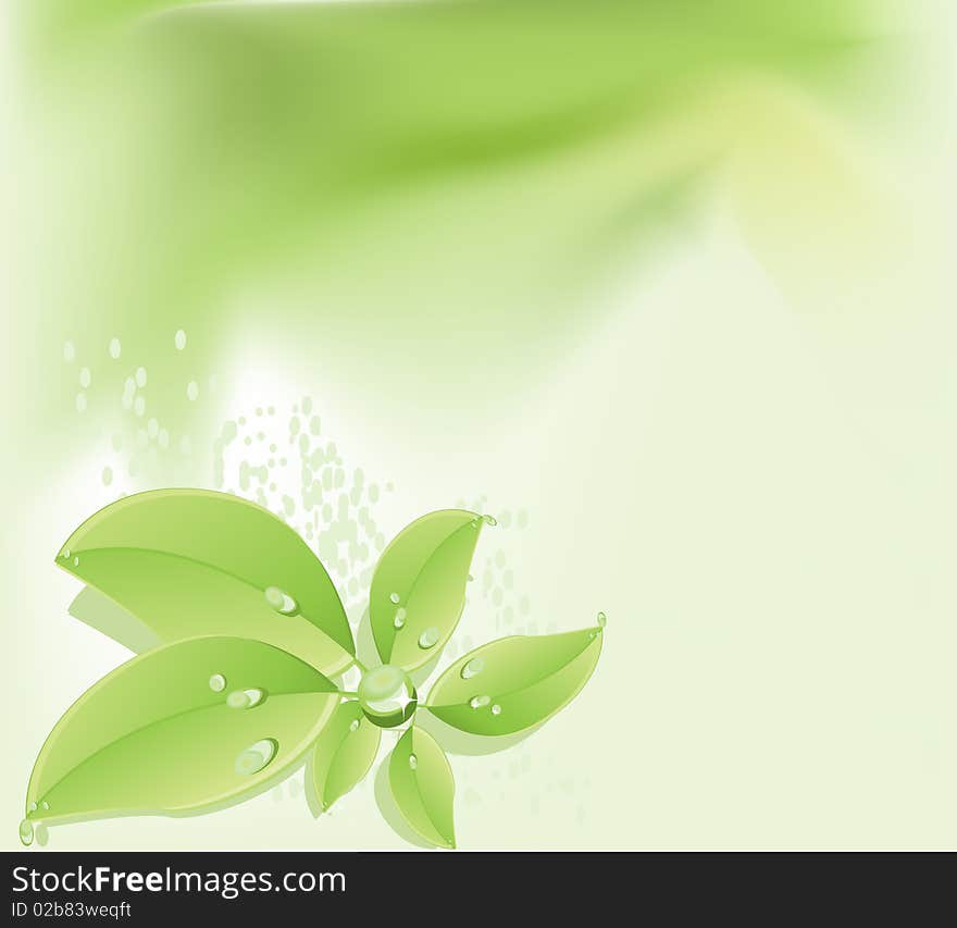 Leaves with water drops background. Leaves with water drops background