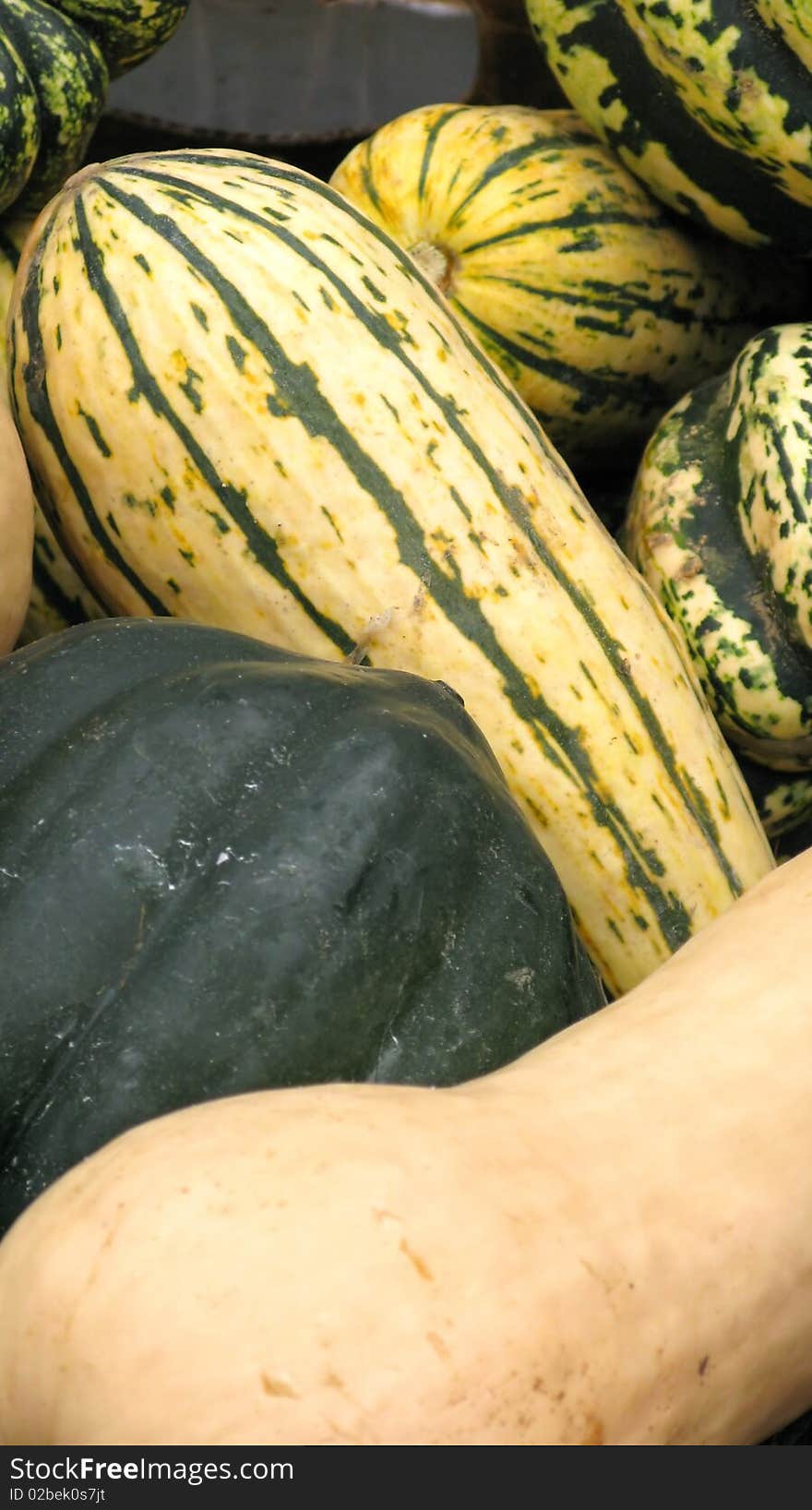 Beautyfull yellow and green ornamental pumkin. Beautyfull yellow and green ornamental pumkin