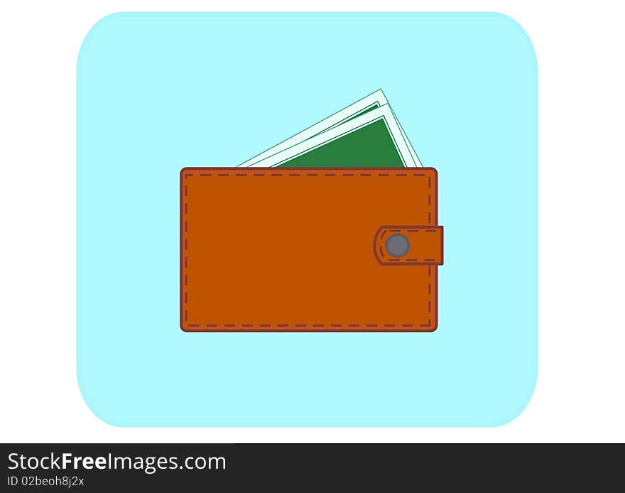 Purse with money 4