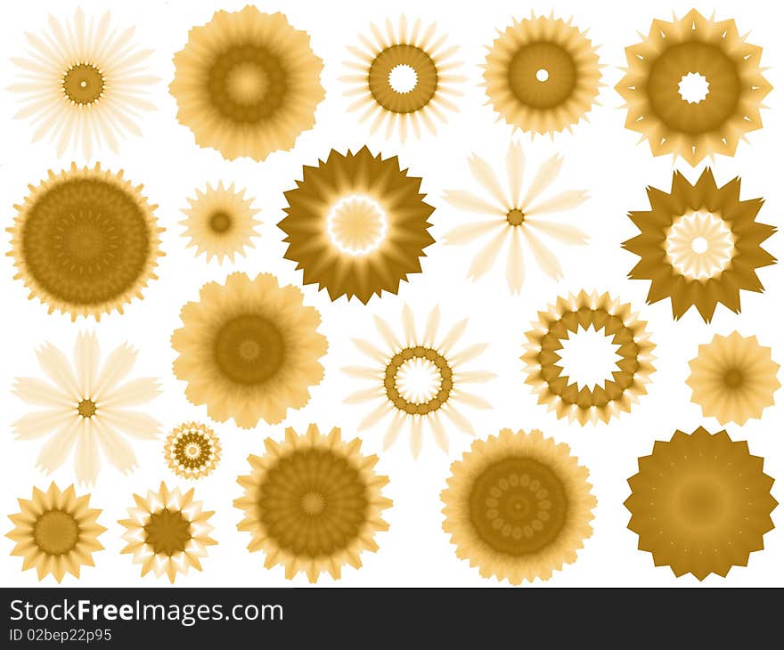 Set of isolated gold sunflowers on white background. Set of isolated gold sunflowers on white background