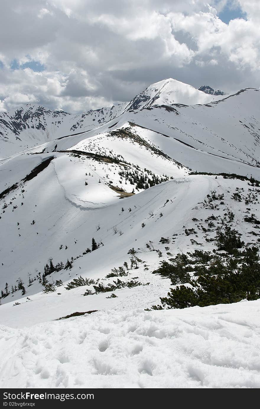 In the mountains, on the new trail. In the mountains, on the new trail