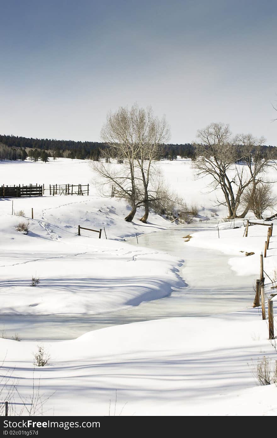 Snow covered field