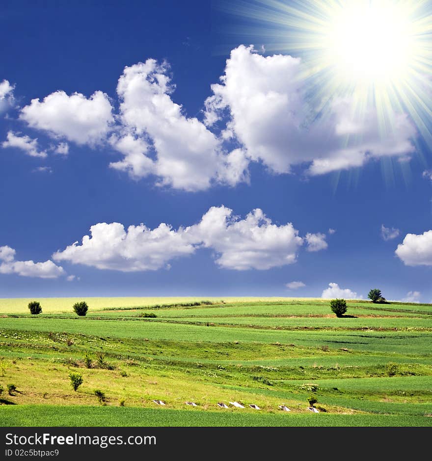 Beautiful summer landscape with green field and sunny sky. Beautiful summer landscape with green field and sunny sky