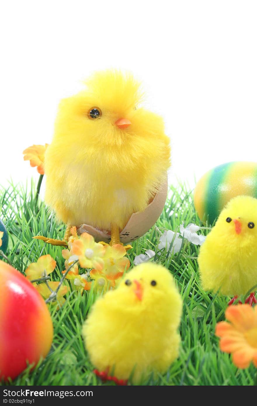 Easter eggs and chicks in a meadow