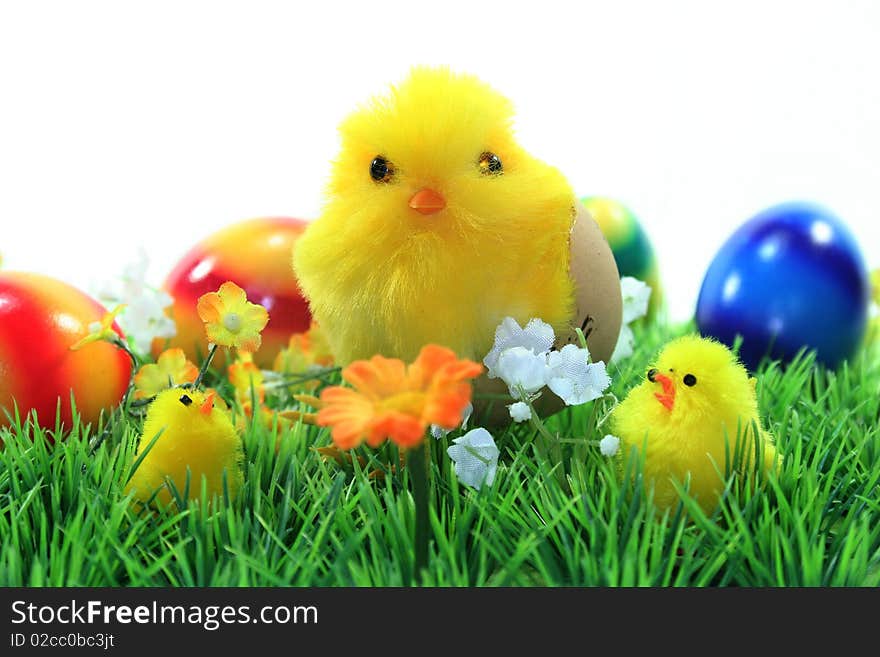 Easter chicks on a flower meadow