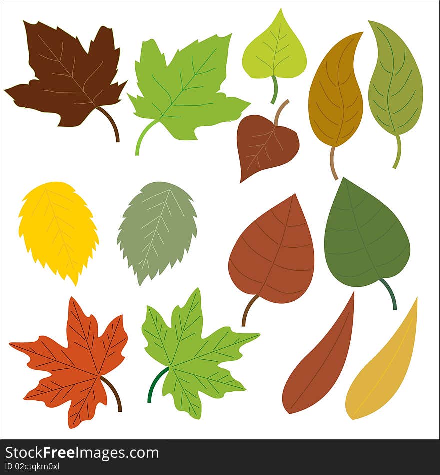 Leaf Nature Symbols Illustration