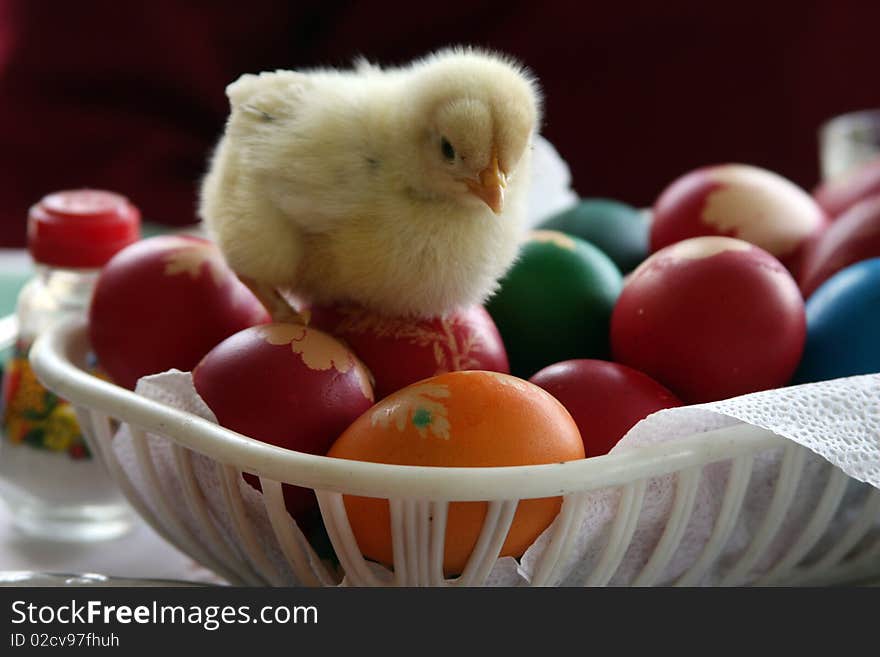 Small chicken on top of Easter eggs. Small chicken on top of Easter eggs