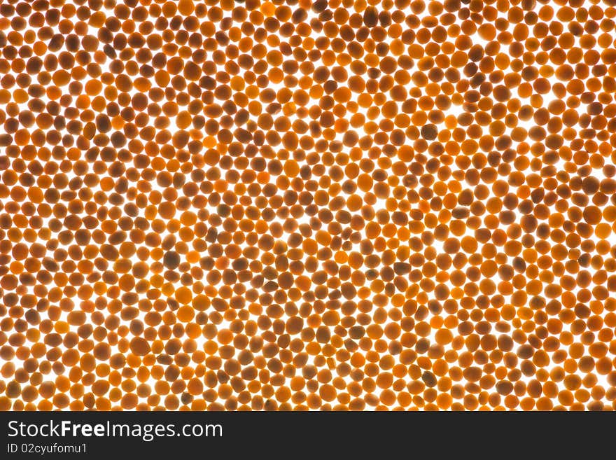 Yellow mustard seeds isolated on white back lit background; interesting shapes