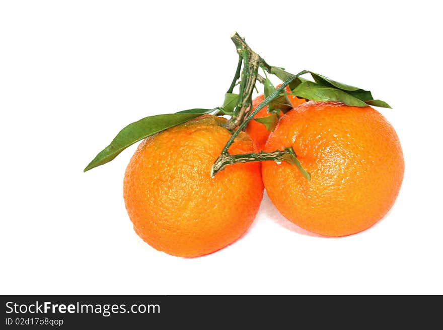 Tangerine on a white background