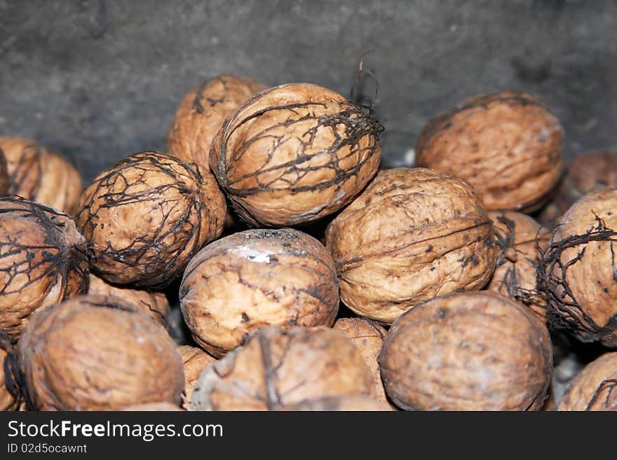 Group of dusty  walnuts on a gray background