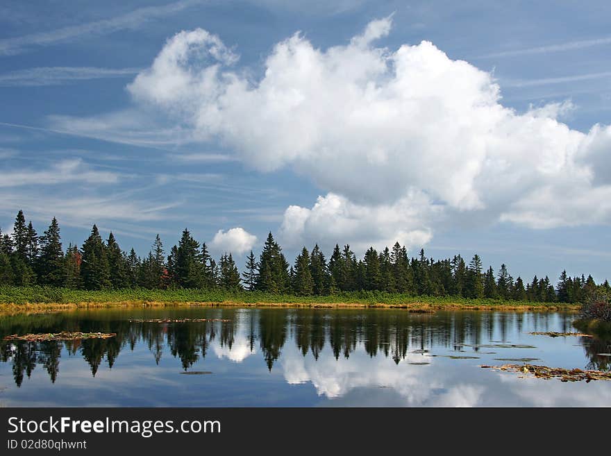 Sky any forest reflection in a lake. Photographed on 1000m on Pohorje mountains in Slovenia